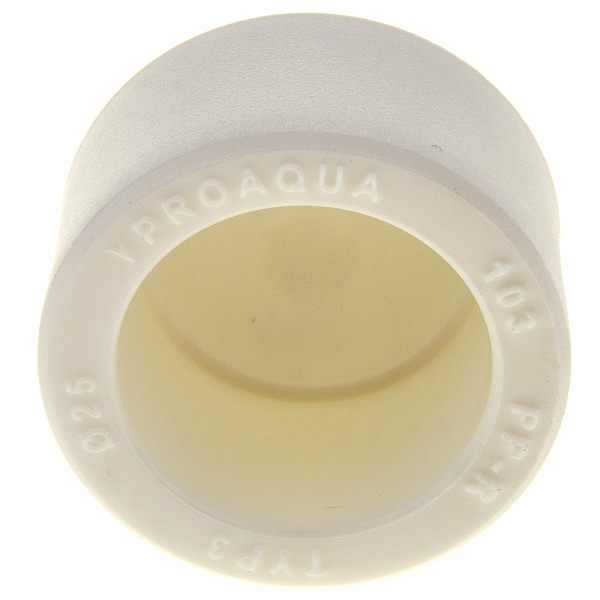 ProAqua Заглушка 25 полипропиленовая ProAqua Заглушка 25 полипропиленовая